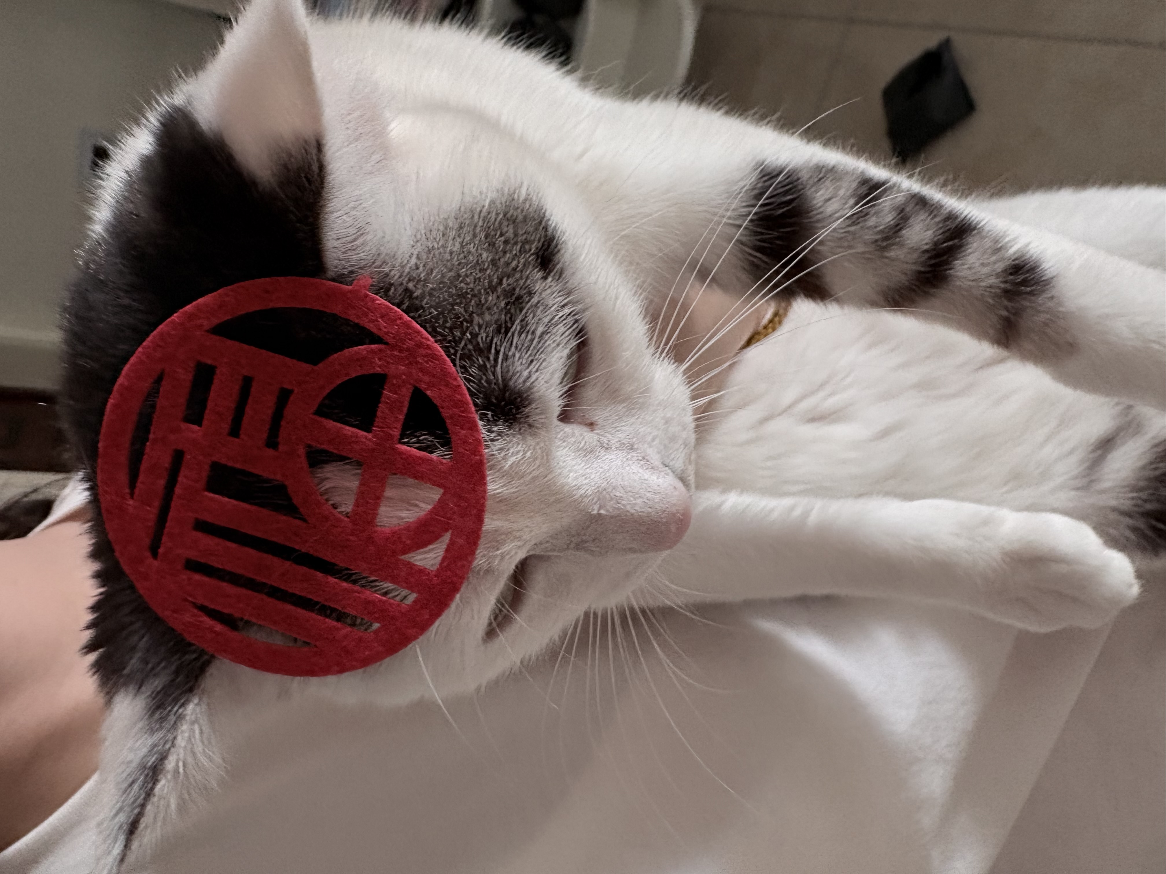 尊贵的屎233的头像